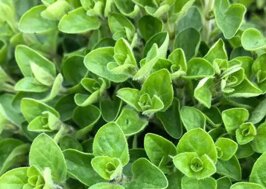 f75abdee-a8ff-4348-b5e1-9a6bfe3405ea