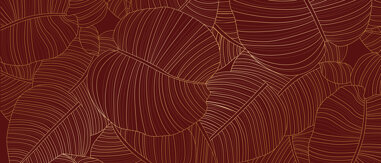 f5a72c78-6555-4b30-959f-39d40f48abe1