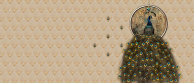 41951b5f-079a-49ca-a6aa-f5fd1fd60fdd