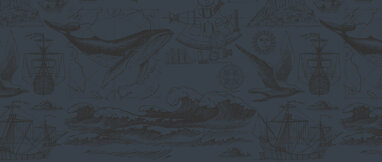 i segreti del mare_web.jpeg