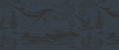 i segreti del mare_web.jpeg