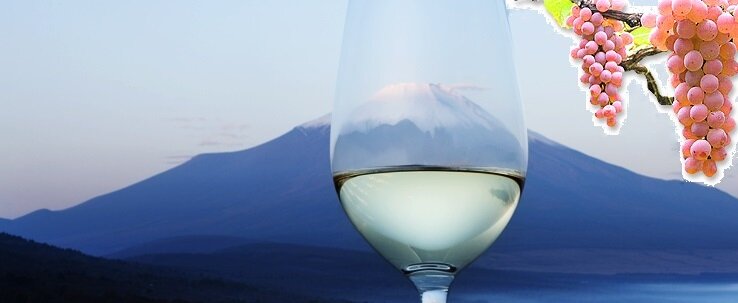 Koshu, l'armonia soave di una natura impermanente Koshu, l'armonia soave di una natura impermanente