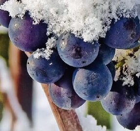 e938b734-fc42-4ecc-a740-6c95c17dee33