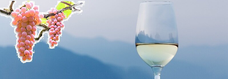 ff82be55-8455-4032-a12d-634f130ca0e6.jpg ff82be55-8455-4032-a12d-634f130ca0e6.jpg