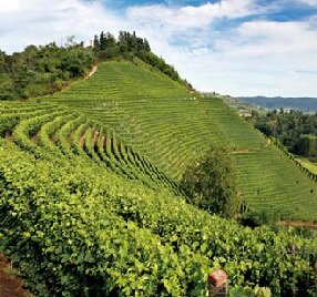 e76c38f5-f1af-4768-88bb-33b2d65f8b1c