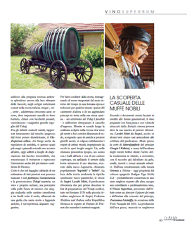 d445f112-896d-479d-aa3f-ce4df0281876 d445f112-896d-479d-aa3f-ce4df0281876