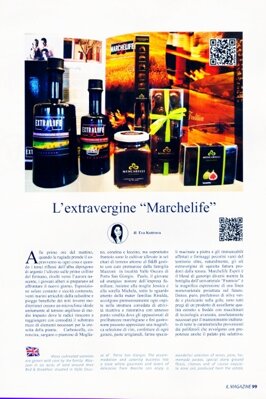 6ddd4117-14bb-4405-ace1-02b6cd2cc984 6ddd4117-14bb-4405-ace1-02b6cd2cc984