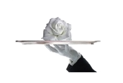 8a8d779f-1ede-43bb-a434-234a82121144