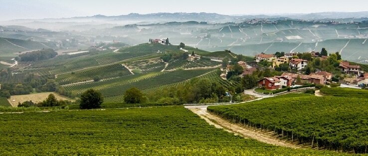 Barolo - Az &uuml;vegbe z&aacute;rt k&ouml;ltem&eacute;ny