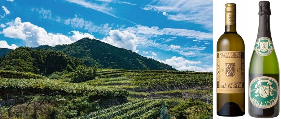 2b7a03f9-76d0-4f6d-a46c-64a4dedfd9bd.jpg 2b7a03f9-76d0-4f6d-a46c-64a4dedfd9bd.jpg