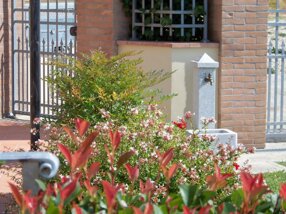 100_1055_1_1 100_1055_1_1