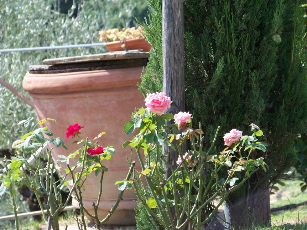 03846cb9-0c13-4662-86e2-332d2e052e98