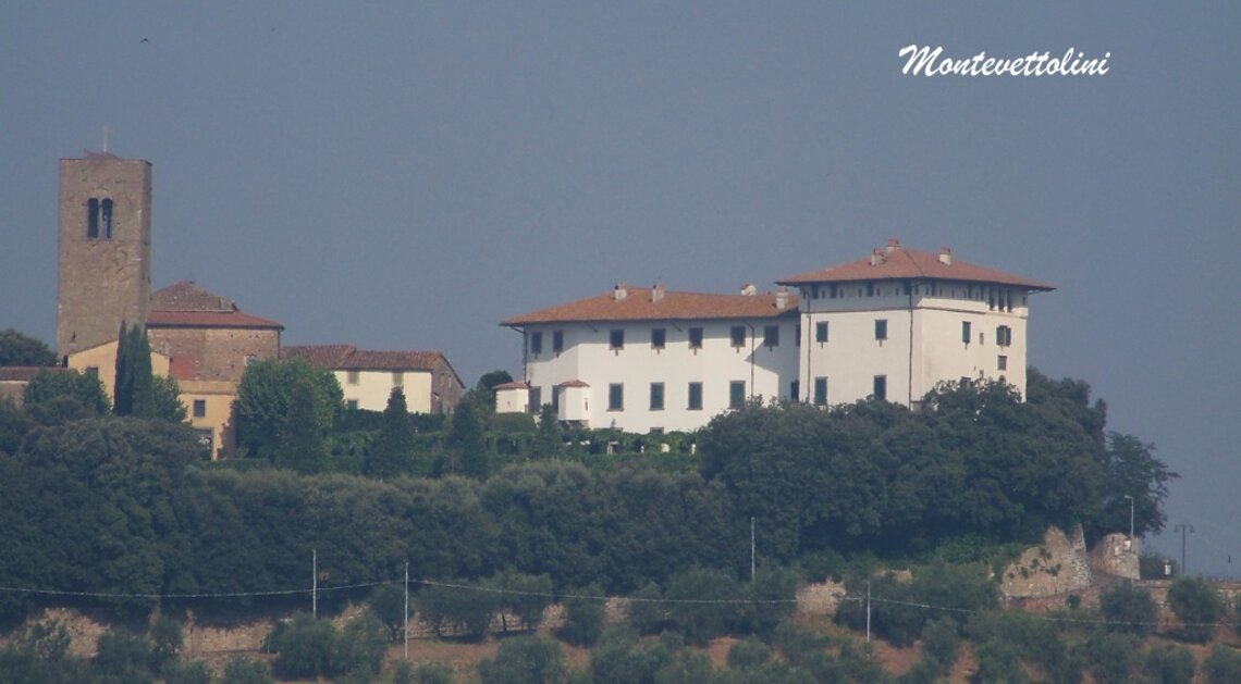 b471778c-a9e9-40c7-829c-a531e9e6841a b471778c-a9e9-40c7-829c-a531e9e6841a