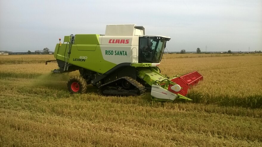 wp_20140924_006-copia wp_20140924_006-copia