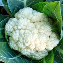 2755ef6b-e471-43f1-9730-0b6921101458 2755ef6b-e471-43f1-9730-0b6921101458