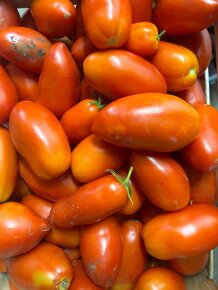 pomodoro.conserva.jpeg