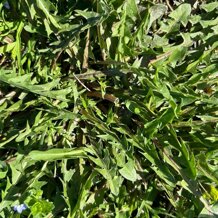 d260e359-e378-492c-bfed-cc964ef6778d d260e359-e378-492c-bfed-cc964ef6778d