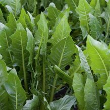 6fdaaecc-ab45-4463-9541-72649bbcc3d9 6fdaaecc-ab45-4463-9541-72649bbcc3d9