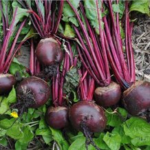 bc3b8fef-c039-4180-a8fe-00826e56b735 bc3b8fef-c039-4180-a8fe-00826e56b735