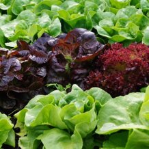 e6cfdad5-9b02-474f-b53c-f604daff3db6 e6cfdad5-9b02-474f-b53c-f604daff3db6