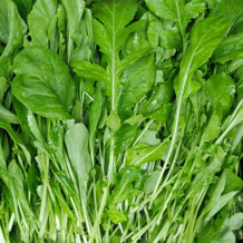 634e578d-998e-4541-a368-a69bae6556bf 634e578d-998e-4541-a368-a69bae6556bf