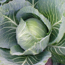 feb3a6a9-0f7b-4196-925b-43a4625bcf73 feb3a6a9-0f7b-4196-925b-43a4625bcf73