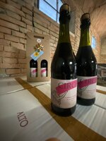 lambrusco-grasparossa-di-castelvetro-dop-cartone-12-bottiglie