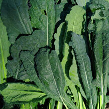 29c2cf94-233b-45c4-a498-3c2b081805ca 29c2cf94-233b-45c4-a498-3c2b081805ca