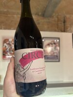 lambrusco-grasparossa-di-castelvetro-dop