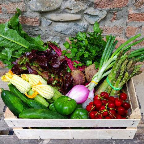 446a07ac-4d40-4234-9463-942ed149a2a3