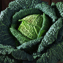 1eedb1bb-7e3f-43fe-a4e8-22881916fd0e 1eedb1bb-7e3f-43fe-a4e8-22881916fd0e