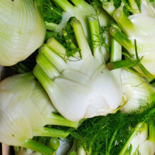 f72b1321-d20c-48f6-8e71-60b8eacda3e7 f72b1321-d20c-48f6-8e71-60b8eacda3e7