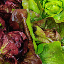 fb401457-91d8-46fc-b733-c696678359a0 fb401457-91d8-46fc-b733-c696678359a0