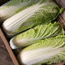 6bc72179-d1c1-48c4-b211-dc5dec4609c4 6bc72179-d1c1-48c4-b211-dc5dec4609c4