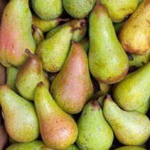 b6e5ec1f-2232-4c39-9a4a-091e0baf3696 b6e5ec1f-2232-4c39-9a4a-091e0baf3696