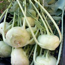 4afc0531-5e81-41fe-b71b-00fa42fe3bbe 4afc0531-5e81-41fe-b71b-00fa42fe3bbe