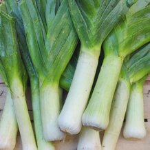 e2d93ebe-38be-4f98-ab41-e58adbb0f140 e2d93ebe-38be-4f98-ab41-e58adbb0f140