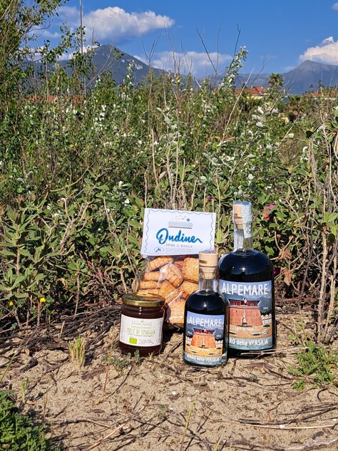 33438_bb230ad14e48ded2b1b75d008bf96040331699e4