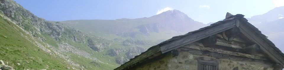 f86327fbdc7f445c86858013166c39fd