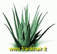 "Aloe ovunque, ma come riconoscere un prodotto di qualit&agrave;?"