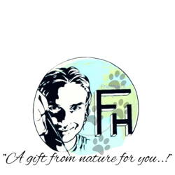 bba62698-7690-429a-a809-416c3cb6edb0