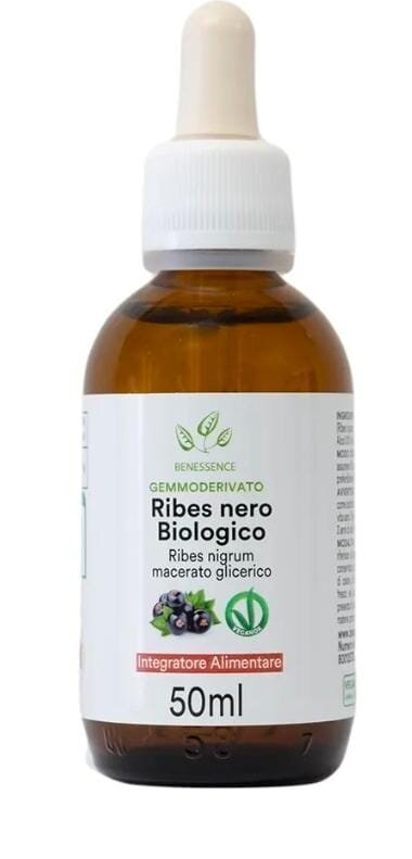 Ribes Nigrum-consigli di Albino Malandra