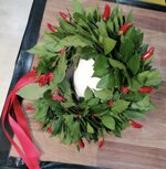 coroncina-di-alloro-per-laurea