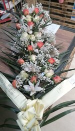 palma-con-fiori-copribara