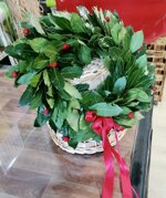 coroncina-di-alloro-per-laurea