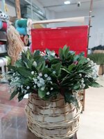 coroncina-di-alloro-per-laurea