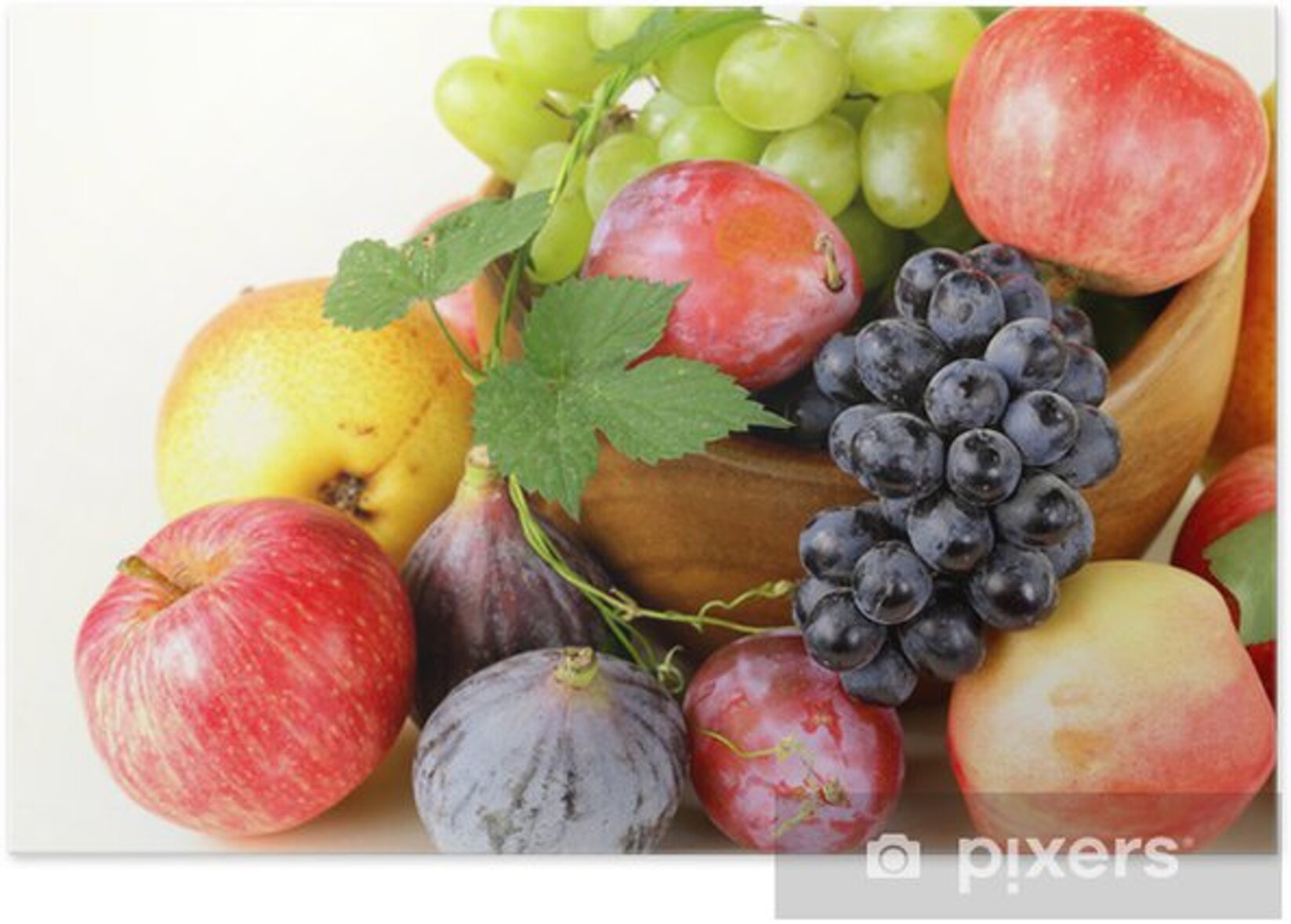 732dde50-bedc-463b-bc82-9795ff402049