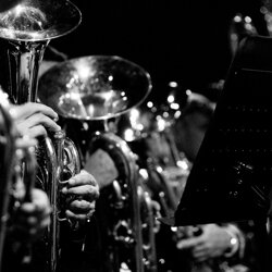 concerto-16