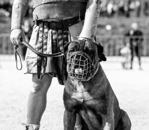 eyJpdCI6IiJ9 eyJpdCI6IiJ9