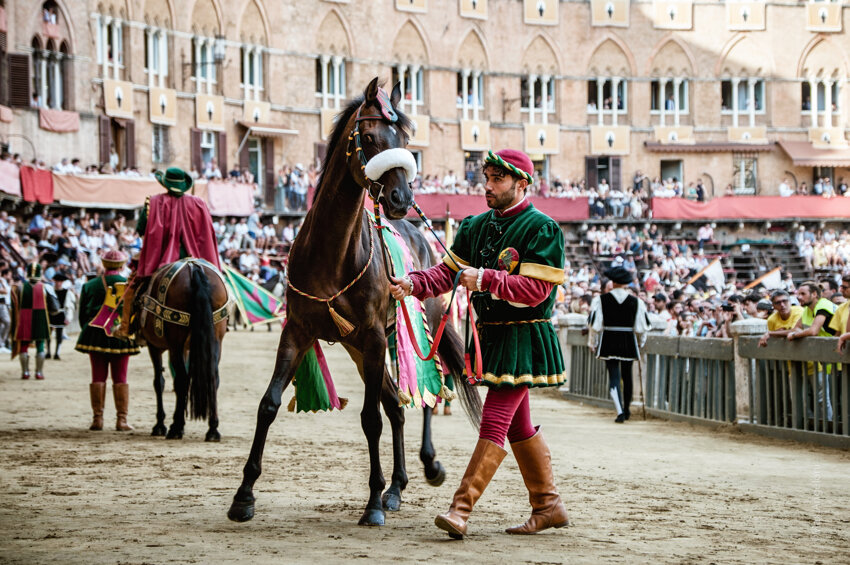 c8431bb8-0fed-4fd1-9e90-6176283237e6 c8431bb8-0fed-4fd1-9e90-6176283237e6